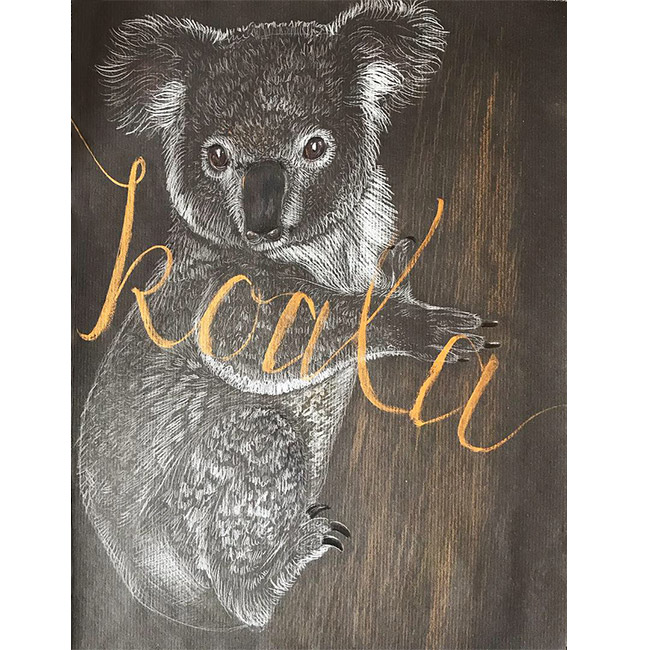 Illustration eines Koalas auf schwarzem Papier