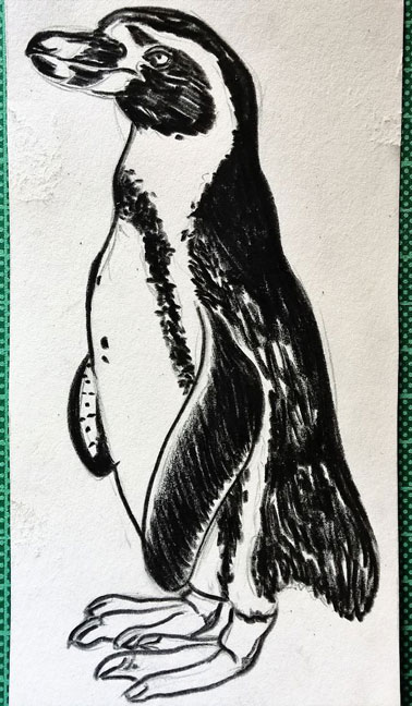 Skizze eines Pinguins