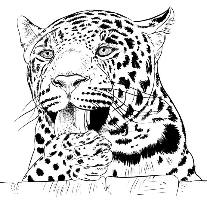 Illustration eines Leoparden-Portraits