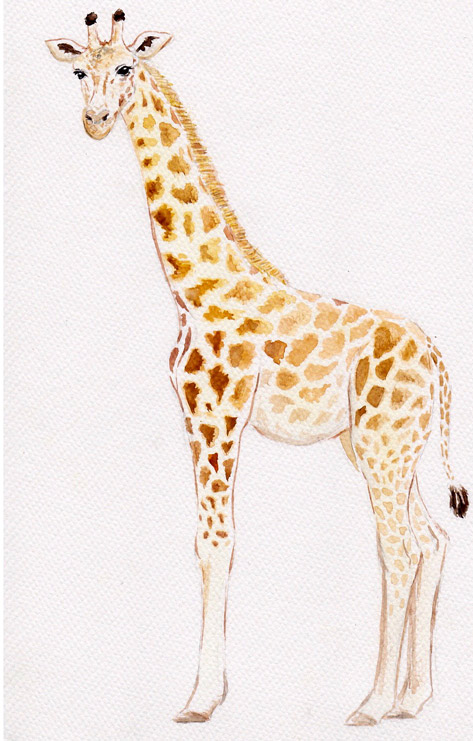 Aquarell-Illustration einer Giraffe