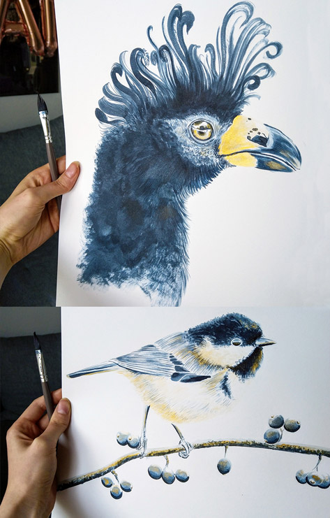 Tusche-Illustrationen von Vögeln
